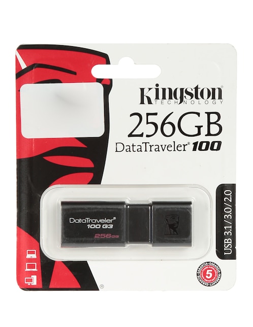 USB 256 GB Kingston DT100G3-256GB