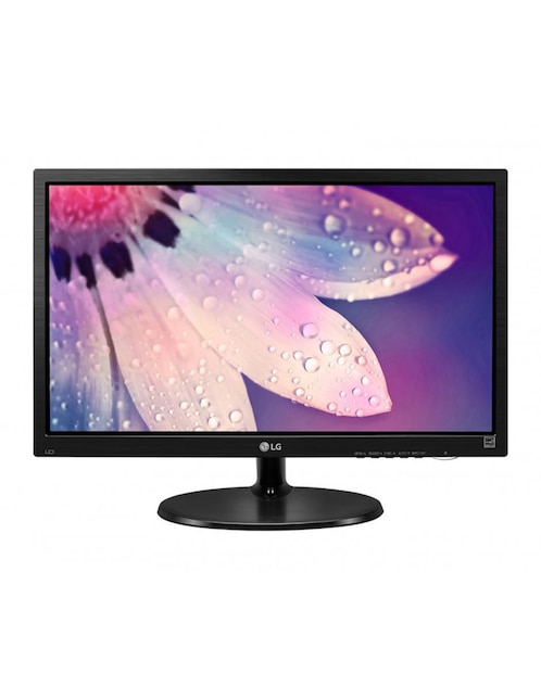 Monitor LG HD 18.5 pulgadas 19m38h Negro