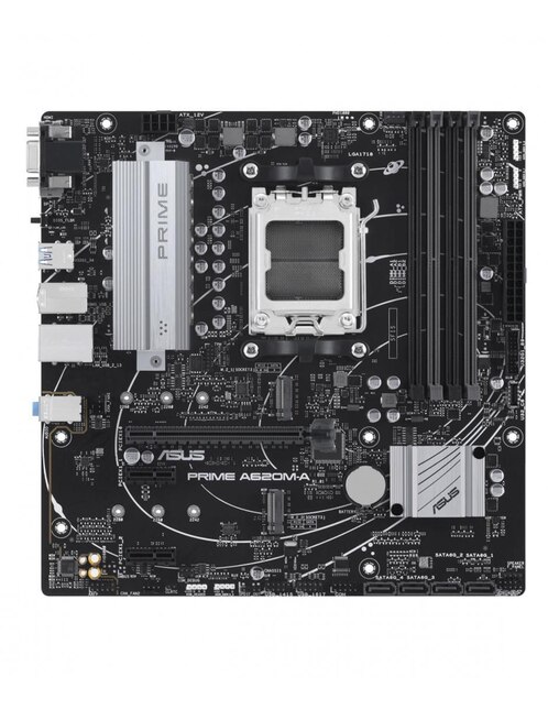 Tarjeta madre Asus 90MB1F10-M0AAYC con procesador AMD