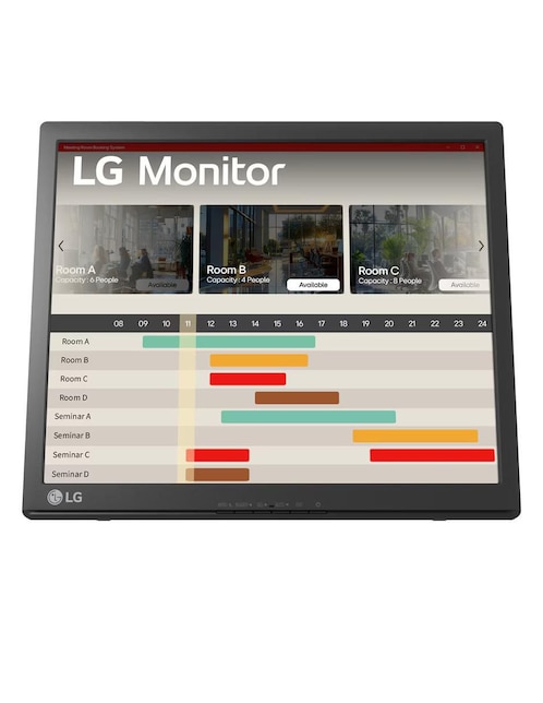 Monitor portátil LG HD 17 pulgadas 17BR30T B Negro