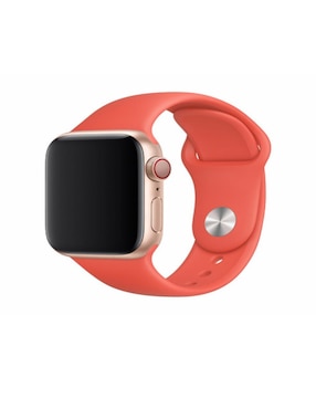 Correa Extensible Devia Apple Watch Sport Lisa 38mm 40mm