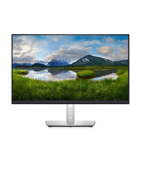 Monitor Dell Full HD 23.8 Pulgadas P2422H