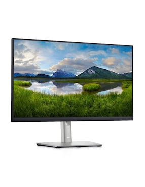 Monitor Dell standard full HD 23.8 pulgadas P2422H