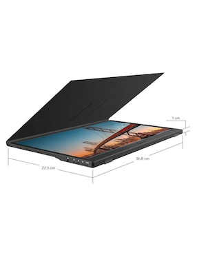 Monitor portátil Steren standard full HD 15.6 pulgadas DIS-116