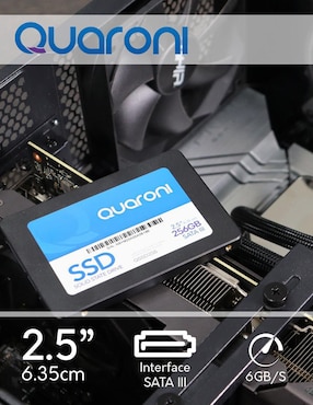 Disco duro interno Quaroni de 256 GB