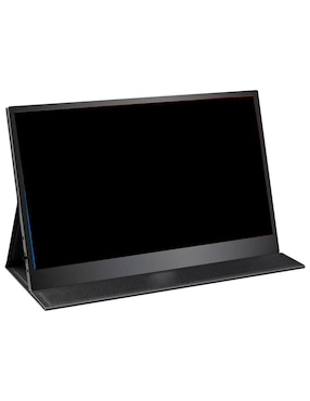 Monitor Portátil Full HD 15.6 Pulgadas PTM15