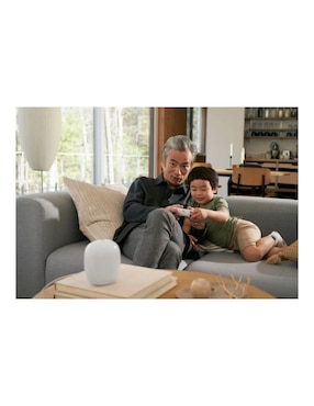 Router Alámbrico Google Nest GA03030-US