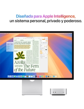Computadora all in one Apple Mac Mini M4 HD M4 16 GB RAM 256 GB SSD