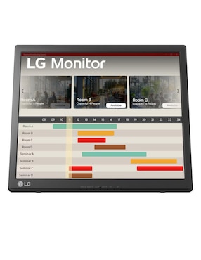 Monitor Portátil LG HD 17 Pulgadas 17BR30T B