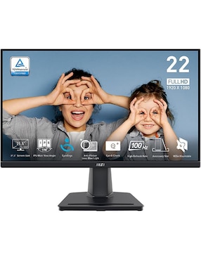 Monitor Msi Full HD 22 Pulgadas Pro MP225