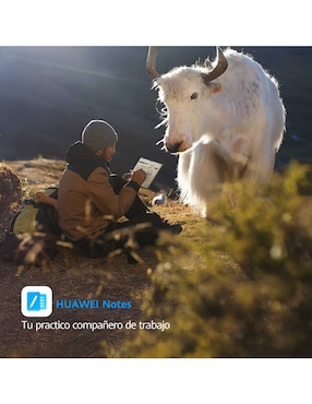 Tablet Huawei Matepad Pro 13.2 pulgadas 512 GB de 12 GB RAM