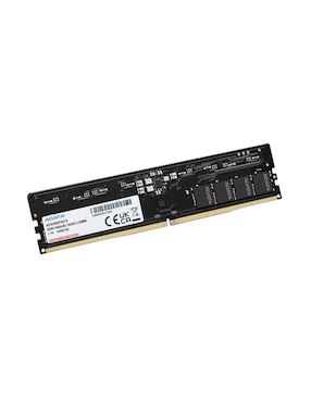 Memoria RAM UDIMM DDR5 Adata 16 GB Premier 5600