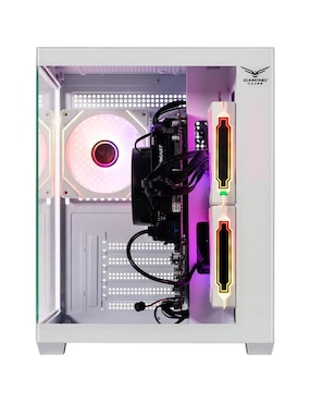 Gabinete Naceb Starfall