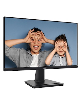 Monitor Msi Pro MP225V VA Full HD 21.5 pulgadas Pro MP225V