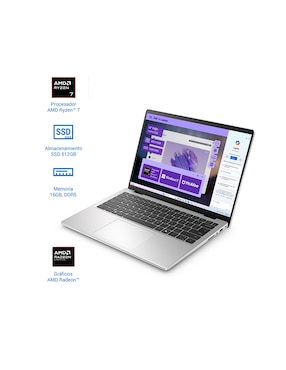 Laptop thin & light Dell DC14255 14 pulgadas Full HD+ Amd Ryzen 7 Amd radeon 16 GB Ram 512 GB SSD