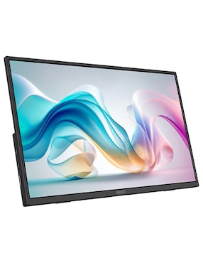 Monitor portátil Msi IPS Full HD 15.6 pulgadas PRO-MP165-E6