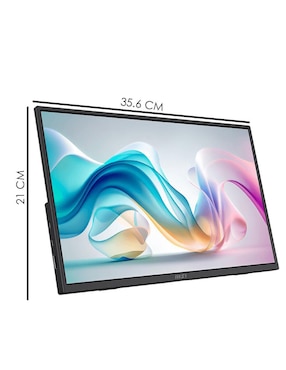Monitor portátil Msi IPS Full HD 15.6 pulgadas PRO-MP165-E6
