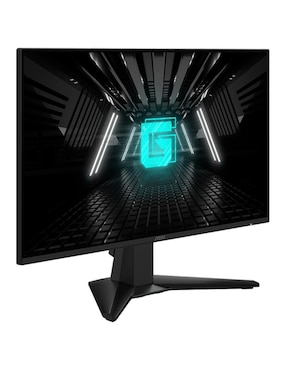 Monitor gamer MSI G242L E14 IPS Full HD 23.8 pulgadas G242L E14