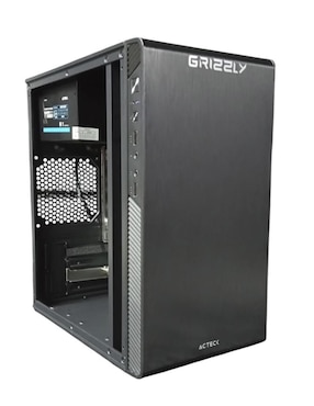 Computadora gamer Grizzly PCG-AMD092 22 pulgadas Full HD AMD Ryzen 3 AMD Radeon Graphics 16 GB RAM 480 GB SSD
