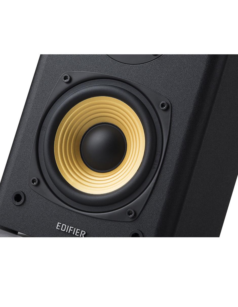 Bocina R1000T4 BLACK 2