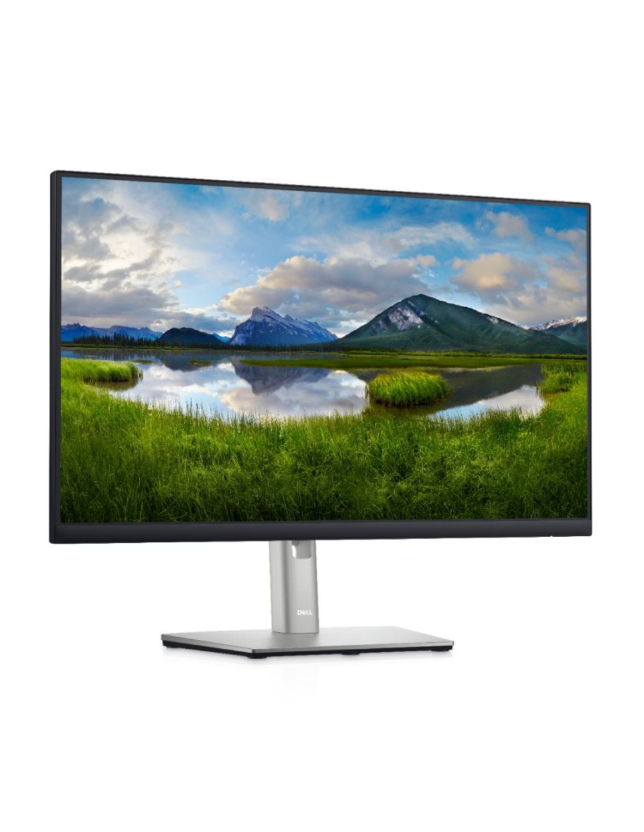 Monitor standard full HD 23.8 pulgadas P2422H 2