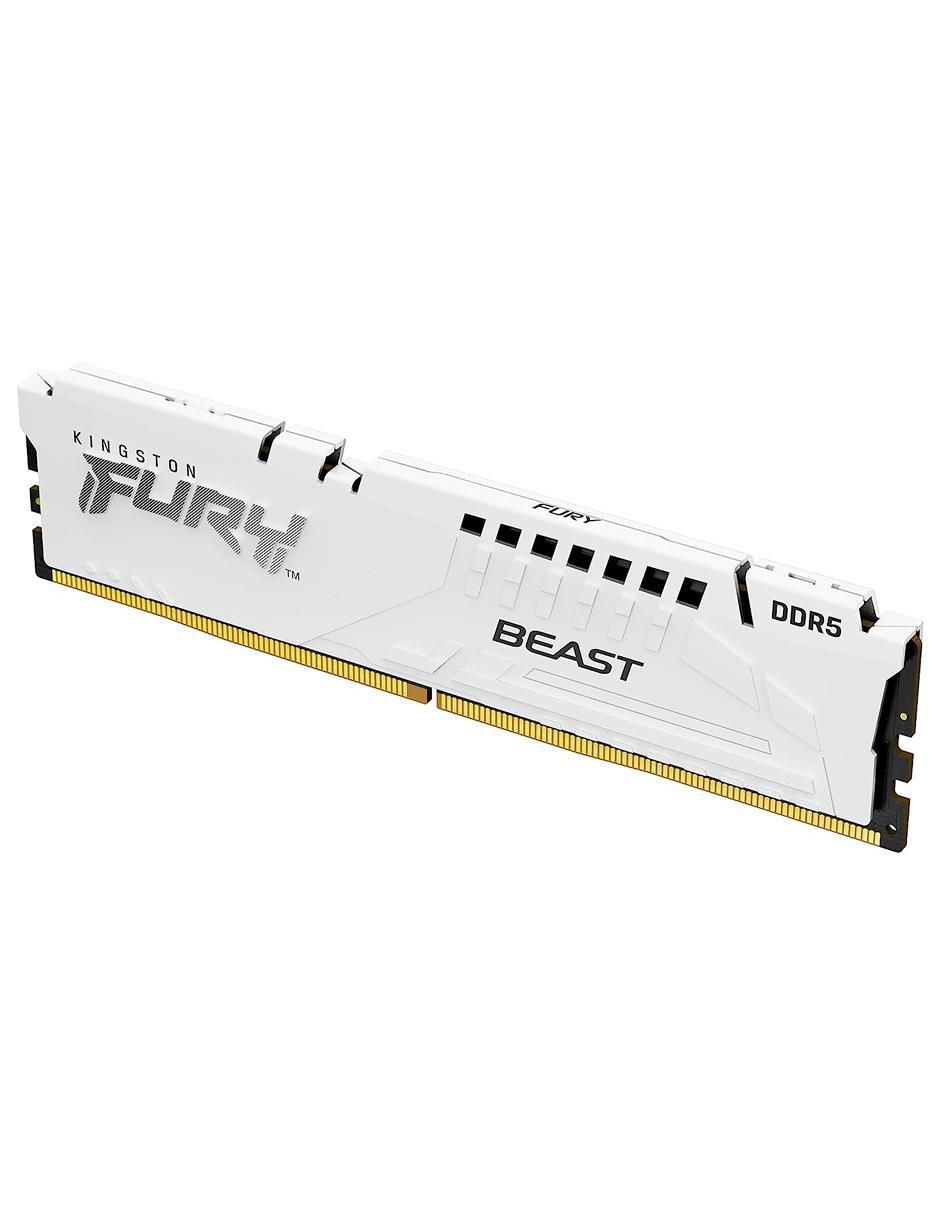 Memoria RAM DIMM DDR5 32 GB KF556C36BWE-32 2
