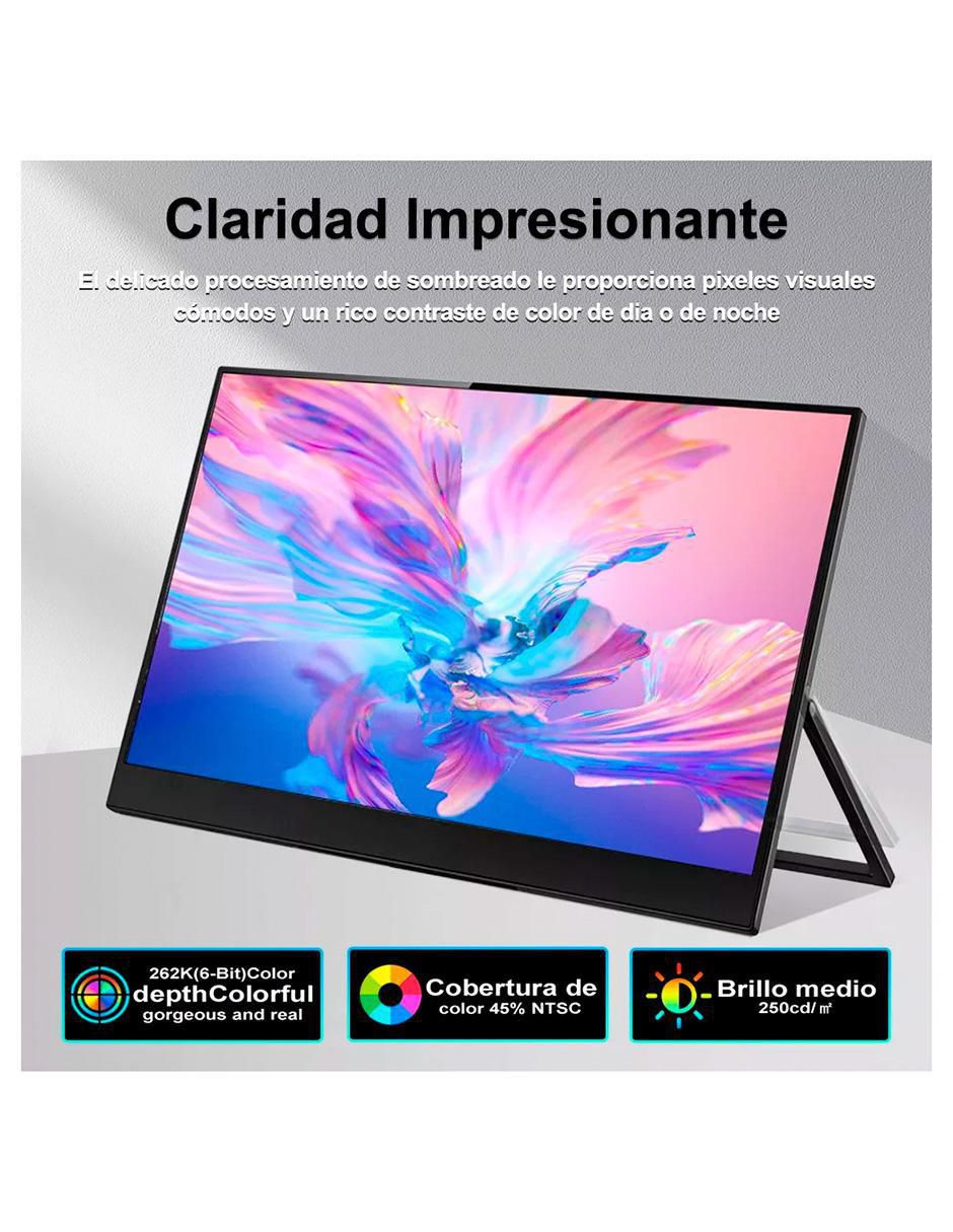 Monitor portátil standard full HD 15.6 pulgadas DM156FZ 3