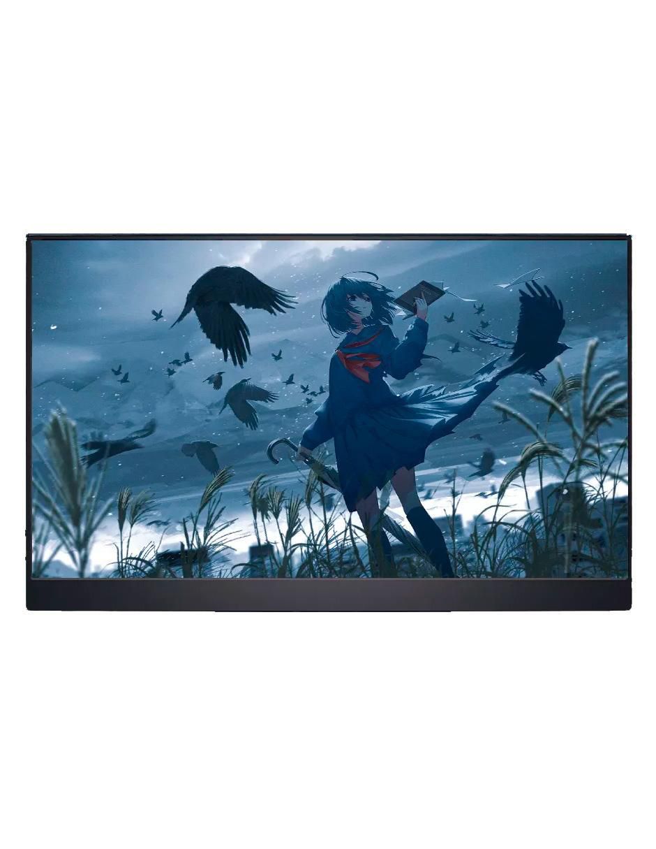 Monitor portátil standard full HD 15.6 pulgadas 156FC 2