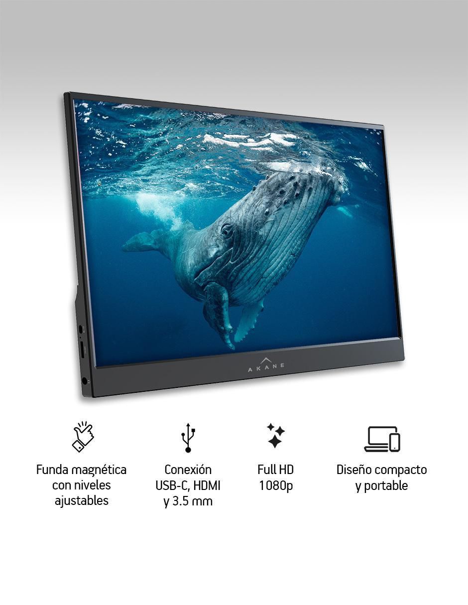 Monitor portátil Full HD 15.6 pulgadas 2