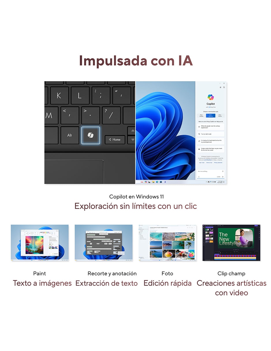 Laptop Zenbook 14 pulgadas WUXGA AMD Ryzen AI 5 340 AMD Radeon 16 GB RAM 512 GB SSD 2