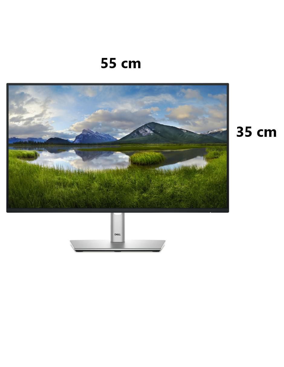 Monitor P2425HE XDR Full HD 24 pulgadas 4